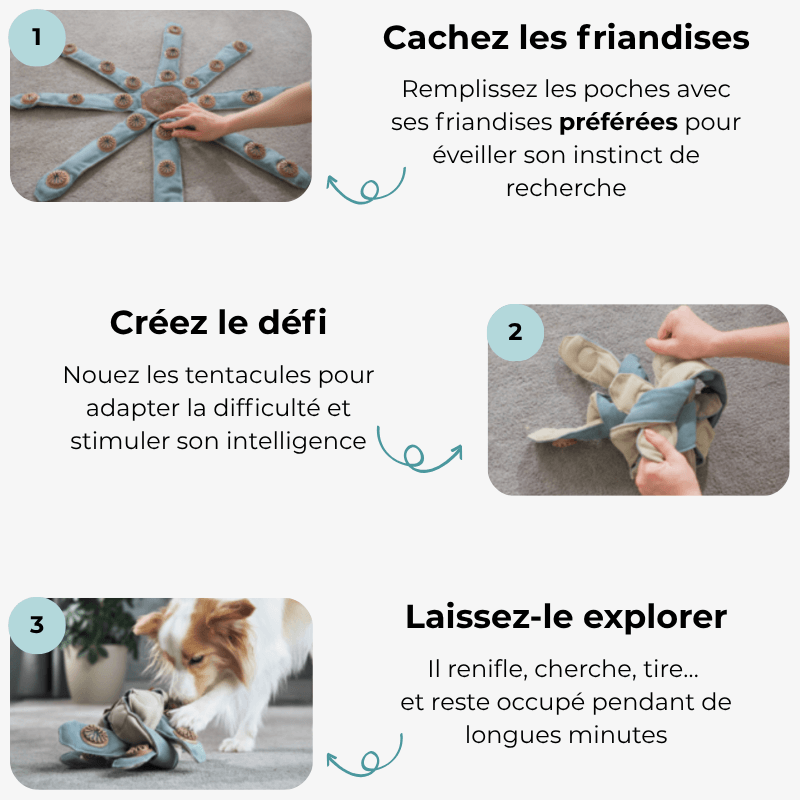 Jouet d’occupation pour chien intelligent
