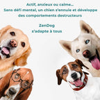 Jouet d’occupation pour chien intelligent