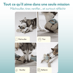 Jouet d’occupation pour chien intelligent