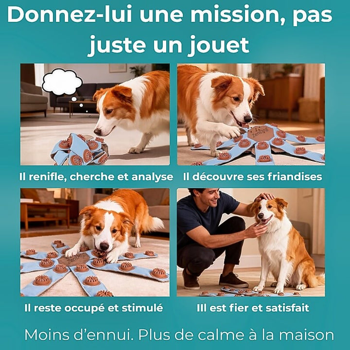 Jouet d’occupation pour chien intelligent